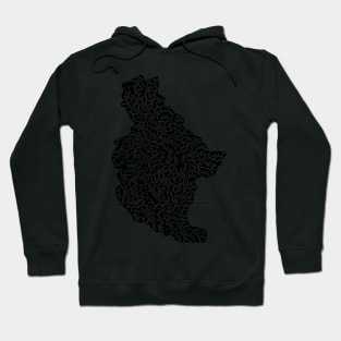 Chelan County, Washington Hoodie